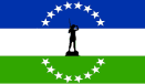 bandera-viedma-nacho